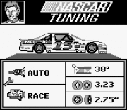 Play Bill Elliott’s NASCAR Online